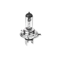 Halogenlampa H3 Pk22s, Universal